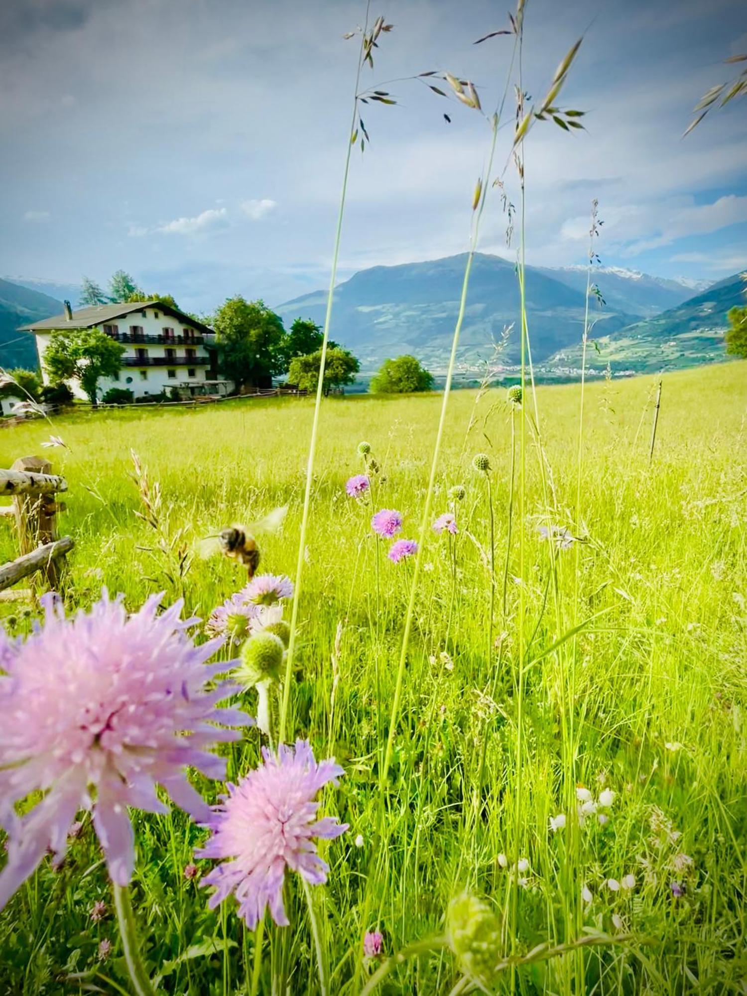 Plasur - Apartement Bella Vista Montechiaro Lichtenberg ภายนอก รูปภาพ